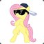 flutterSWAG