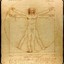 The Vitruvian Man