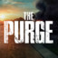 the Purge