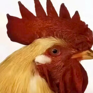 做鸭只做鸭中王