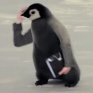 Busy Penguin avatar