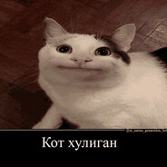Sitoron4ik - steam id 76561198869677284