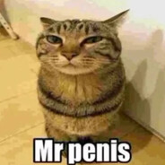 Mr penis