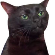 fukzal