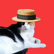 Antropkaskibidimaster