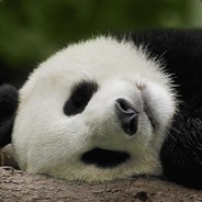 四月清和雨乍晴