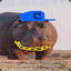 Hippocrip