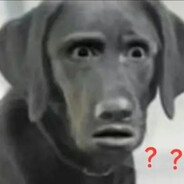 啦啦啦德玛西亚