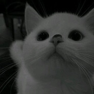«gh0ul»☆