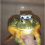 🐸ⓕⓡⓞⓖ🐸