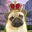 The Holy Pug King