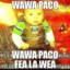 Wawa Paco Feinha La Wea♿⛟