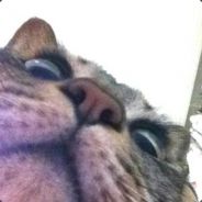 jen - steam id 76561197963105582
