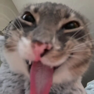 NEGGAWATT avatar