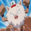 PRIMEAPE