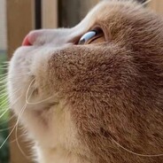 年轻人不讲武德