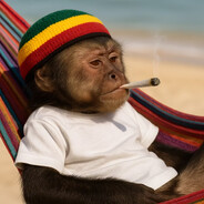 jah monkey