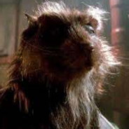 Kanalski Pacov-Splinter