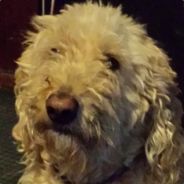 Funken - steam id 76561197965778158