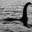 NESSIE