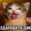 АнльныйТеррорист