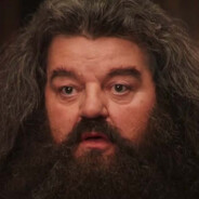 ElGordoHagrid