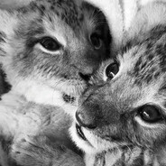 mad1kzzzz - steam id 76561199156107526