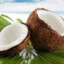 coconut