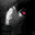 Megis_jonne