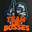 TeamOFBosseS_Igor