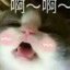 姐姐糖尿我蛀牙丶