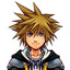 sora (keyblade warrior)