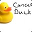 Cancer Duck