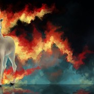 Rapidash