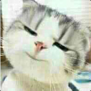 已换号！歪歪4521