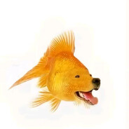 Чайка подвала