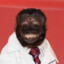 DR.monkey