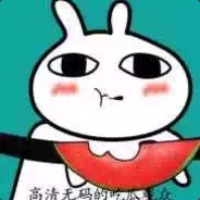 胜科半子张瀚文