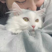 我说今晚月光美