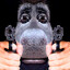 Steam avatar