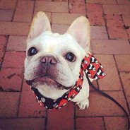 别别别这样不好吧