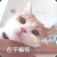 你这是疯了吗
