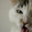 LaFrip777's avatar