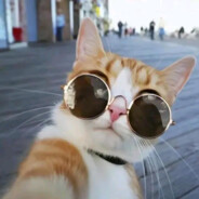 红叶相思生南国