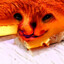 CheeseTheCat