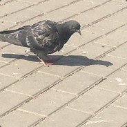 Наташа ебать❤✈