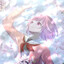 艾草ヨモギ