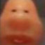 Ddogthechamp