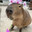 Capybara