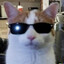 dj sperma